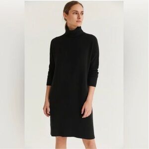 Everlane Black Cashmere Turtleneck Long Sleeve Sweater Dress